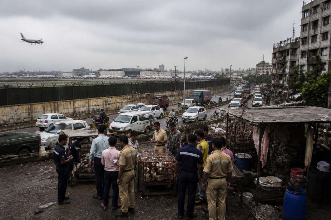 Mumbai airport bird-hit risk and enforcement around surrounding neighbourhoods