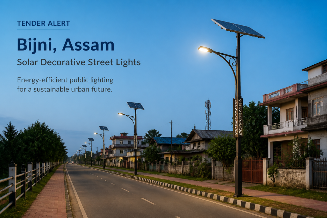 Solar decorative street lights installed on an urban street in Bijni, Assam, symbolizing energy-efficient infrastructure