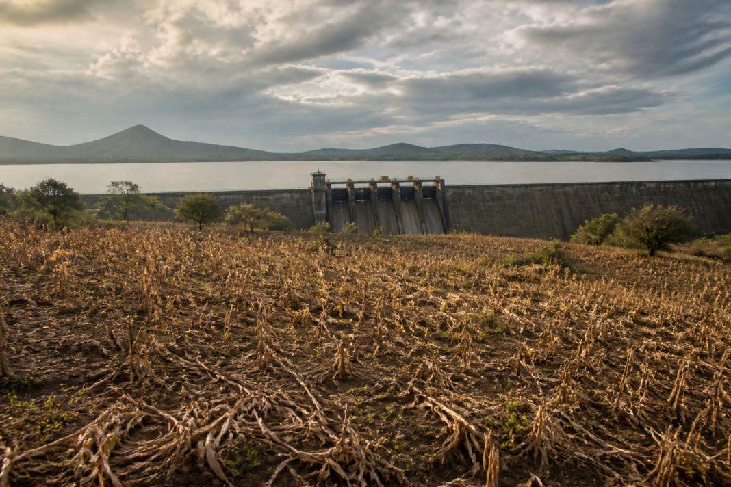 Nashik dam storage near capacity as farmers await rabi water allocation