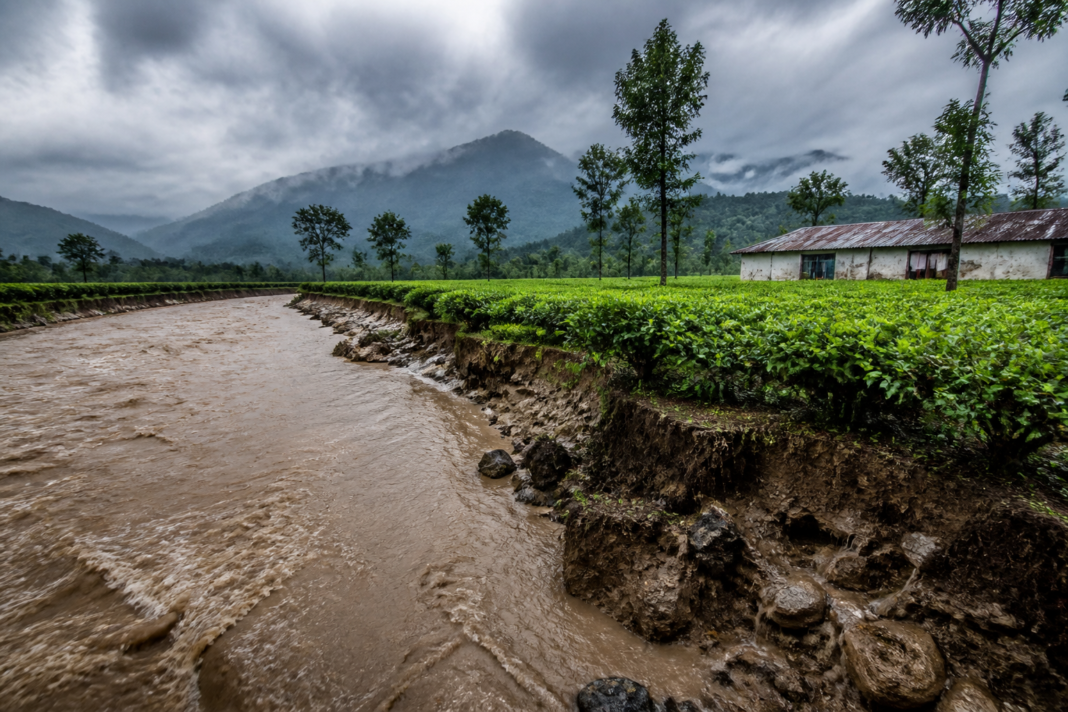 Flooding near Dooars tea gardens with damaged plantation land and workers' quarters