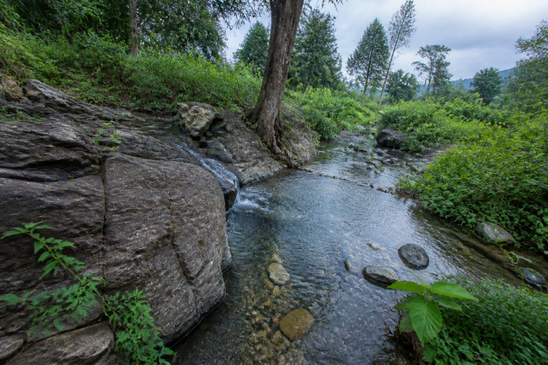 Telangana natural springs mapped across forested districts and used by wildlife