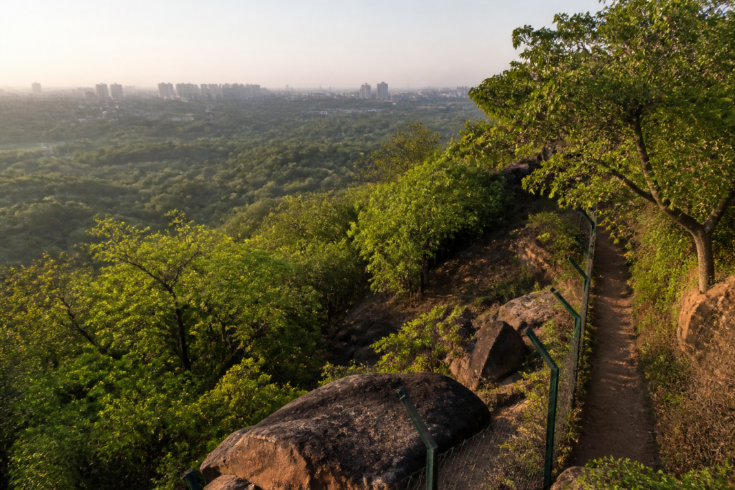 Delhi reserved forest area in the Ridge, showing protected woodland amid the city