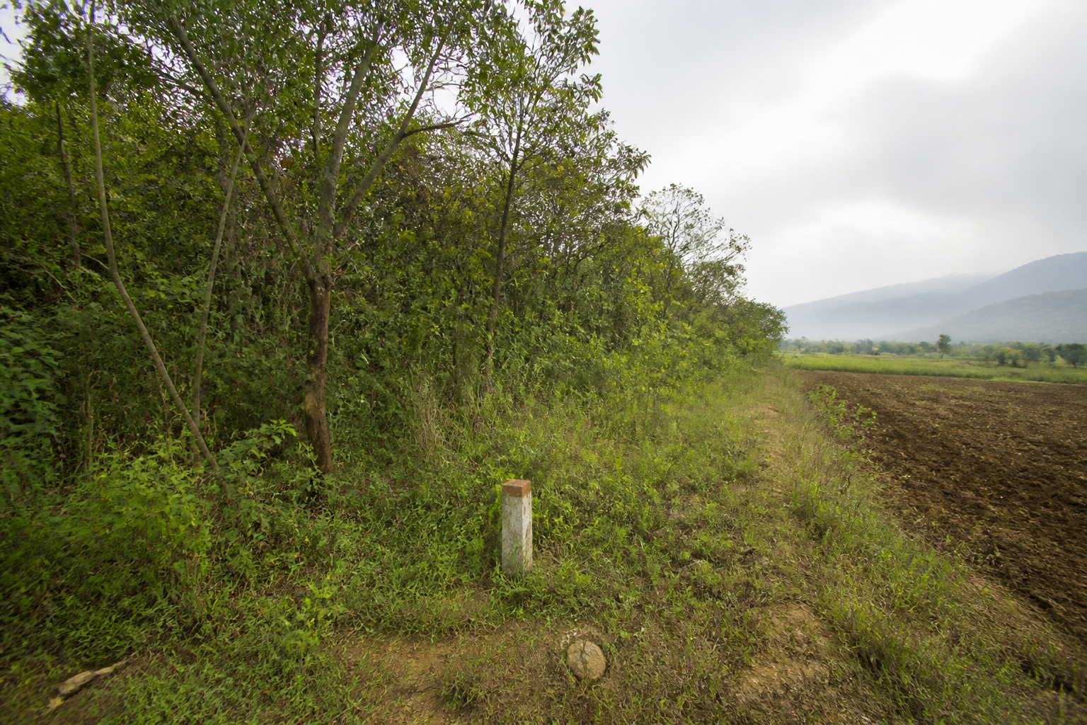 Forest Land Allotment Claim Rejected by Karnataka High Court