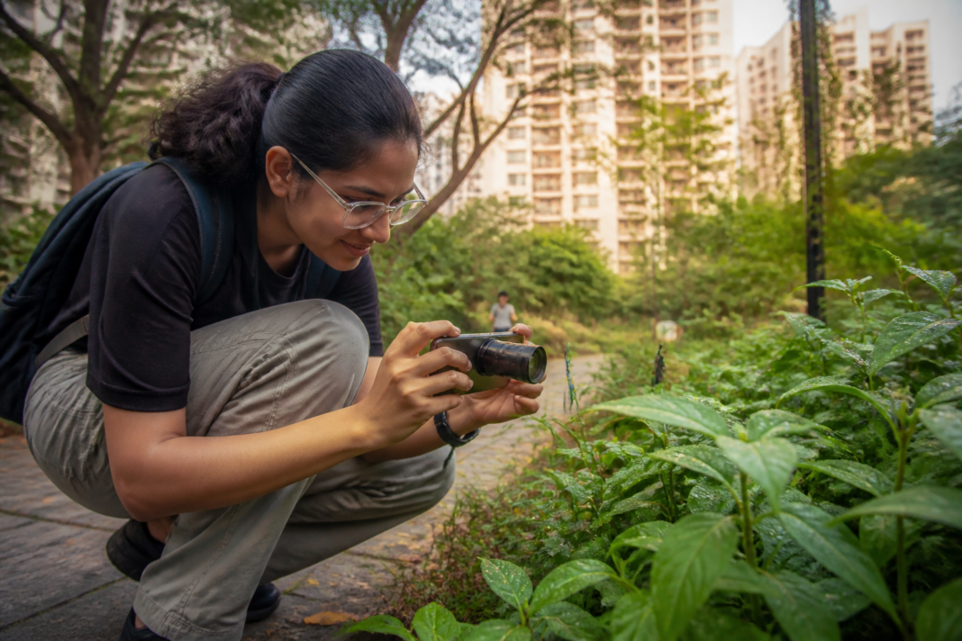 Urban insect biodiversity observation in a Mumbai park with a person photographing a beetle.