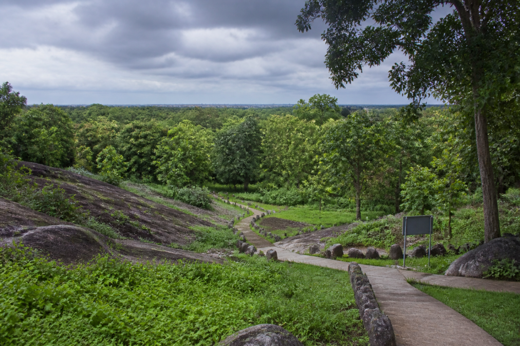Roerich Estate Bengaluru landscape near a forested area and elephant corridor