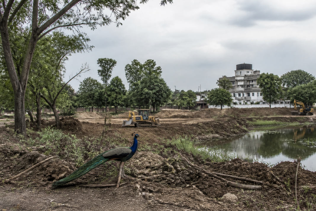 Longowal stadium site near mature trees and a natural water body in Sangrur