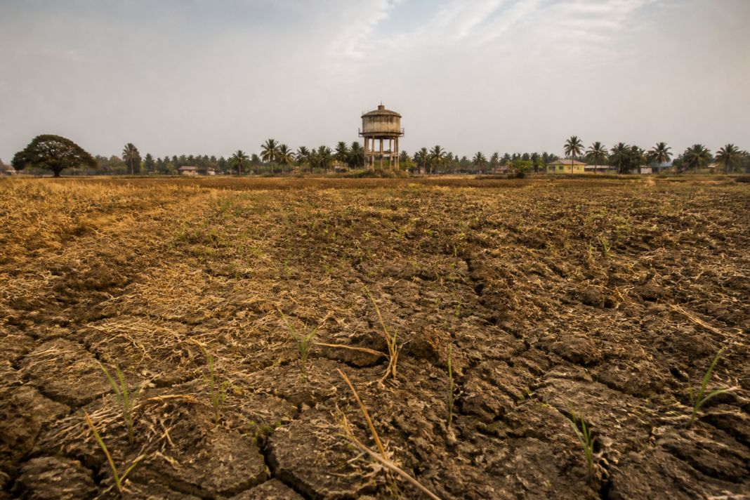 Dry agricultural land in Karnataka during a rainfall deficit