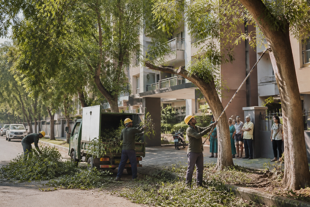 Ahmedabad tree trimming workers maintaining roadside greenery near a residential society