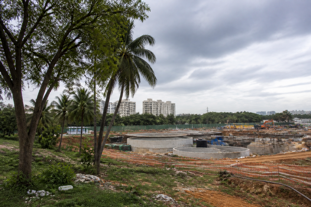 Bengaluru tree felling site near the proposed Doddabele sewage treatment plant